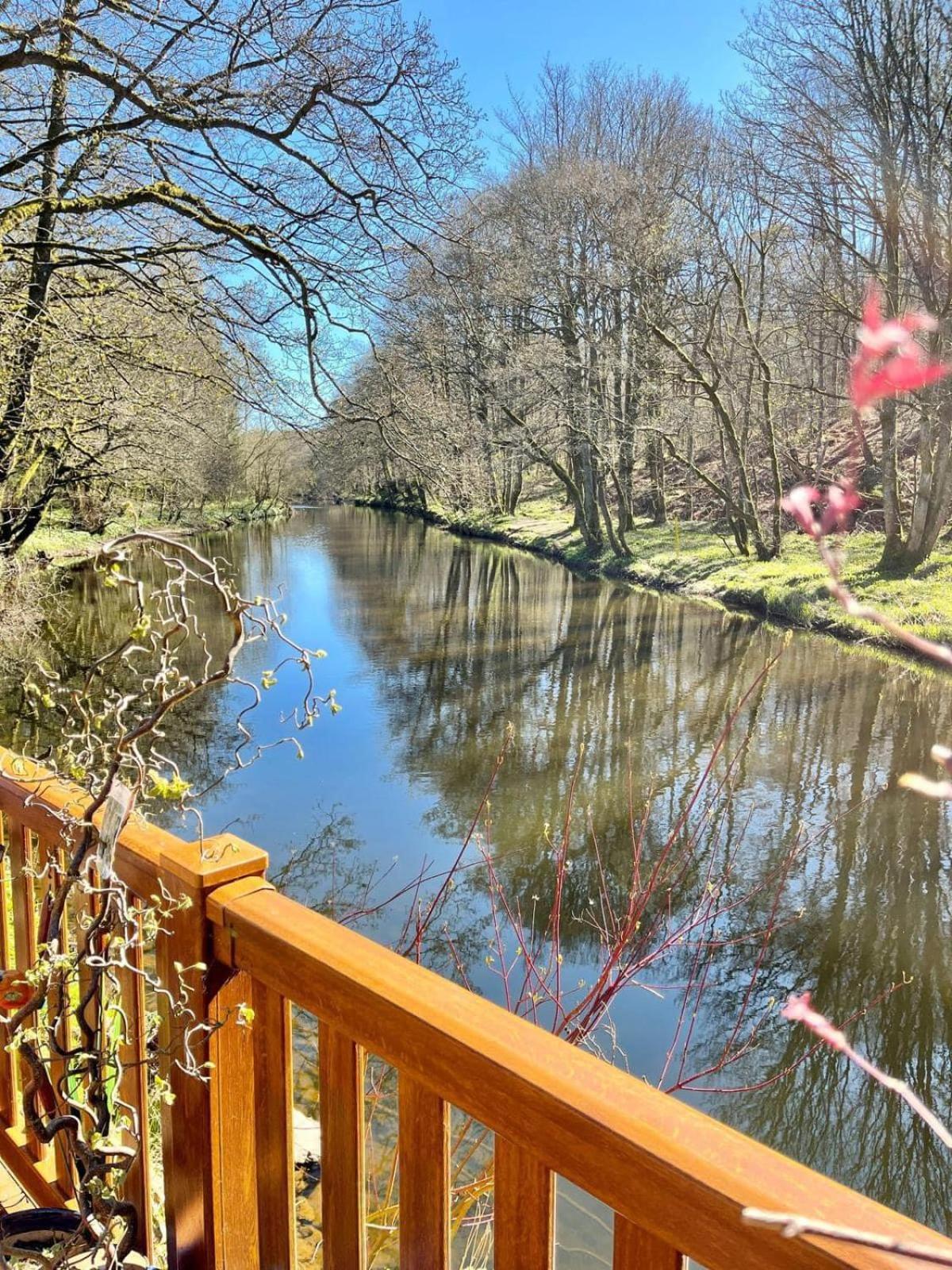 Riverbank Lodge دولار المظهر الخارجي الصورة